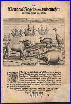 1600 Gravure originale Zoologie Inde Salamandre Outarde Buffle Oiseaux