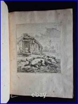 ALBUM RECUEIL de 60 GRAVURES ANIMALIERES (Eaux-Fortes) XVIIIe ALBUM RECUEIL de 60 GRAVURES ANIMALIERES (Eaux-Fortes) XVIIIe