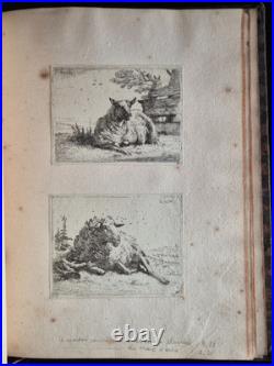 ALBUM RECUEIL de 60 GRAVURES ANIMALIERES (Eaux-Fortes) XVIIIe ALBUM RECUEIL de 60 GRAVURES ANIMALIERES (Eaux-Fortes) XVIIIe