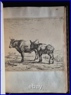 ALBUM RECUEIL de 60 GRAVURES ANIMALIERES (Eaux-Fortes) XVIIIe ALBUM RECUEIL de 60 GRAVURES ANIMALIERES (Eaux-Fortes) XVIIIe