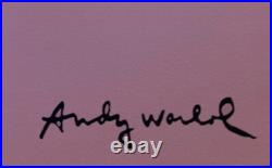 Andy Warhol Lithographie grand format 60 Par 60 cm Andy Warhol Lithographie grand format 60 Par 60 cm