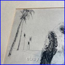 BRACQUEMOND Gravure En Noir signée Au Crayon Singes Et Oiseau Bel État Rare