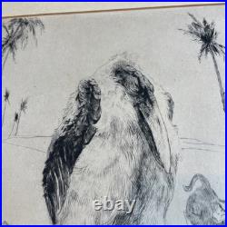 BRACQUEMOND Gravure En Noir signée Au Crayon Singes Et Oiseau Bel État Rare