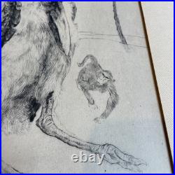 BRACQUEMOND Gravure En Noir signée Au Crayon Singes Et Oiseau Bel État Rare