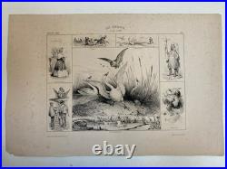 Belle Lithographie Leda Cygne Jupiter Buffon XIXe Gravure Estampe Art Ancien