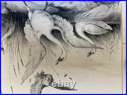 Belle Lithographie Leda Cygne Jupiter Buffon XIXe Gravure Estampe Art Ancien