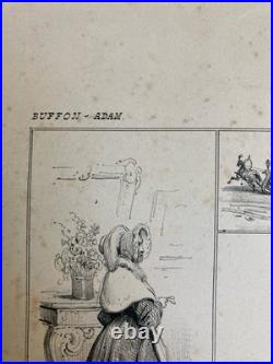 Belle Lithographie Leda Cygne Jupiter Buffon XIXe Gravure Estampe Art Ancien