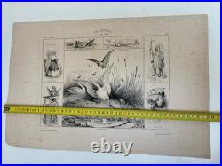 Belle Lithographie Leda Cygne Jupiter Buffon XIXe Gravure Estampe Art Ancien