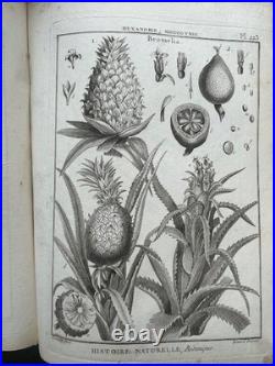 Botanique 198 gravures de l'encyclopédie Panckoucke 1782