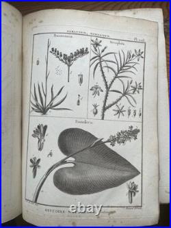 Botanique 198 gravures de l'encyclopédie Panckoucke 1782
