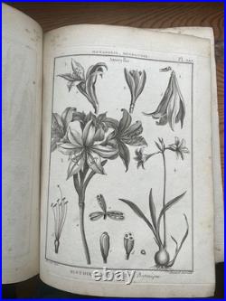 Botanique 198 gravures de l'encyclopédie Panckoucke 1782