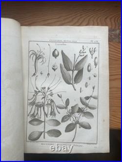 Botanique 198 gravures de l'encyclopédie Panckoucke 1782