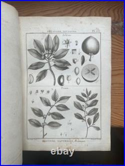 Botanique 198 gravures de l'encyclopédie Panckoucke 1782