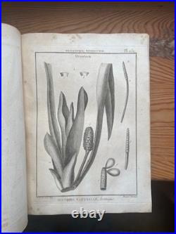 Botanique 198 gravures de l'encyclopédie Panckoucke 1782