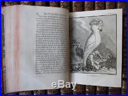 Buffon Histoire naturelle 38 vol. In-4 Edition originale 1129 gravures Lacépède