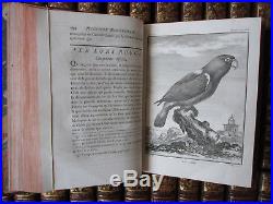 Buffon Histoire naturelle 38 vol. In-4 Edition originale 1129 gravures Lacépède