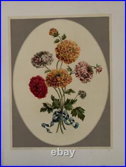 COLLECTION DE DOUZE BOUQUETS PAR JOHN EDWARDS Librairie Denis 1940