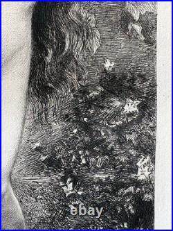 Carolus Duran gravure eau forte etching Nu Féminin Femme Nue dans la rosée