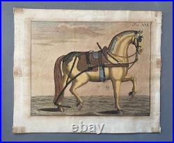 Cheval harnaché, gravure ancienne, XVIIIe
