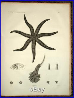 DESCRIPTION DE L'EGYPTE A Paris Imprimerie Imperiale 1809 Histoire Naturelle