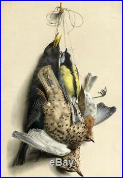 Edouard Traviès Chasse Oiseau gibier Nature morte Lithographie XIXe