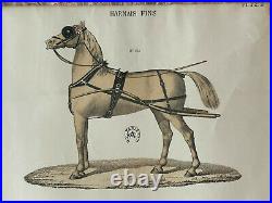 Equitation lithographie coloriée main chevaux harnais fins bel encadrement
