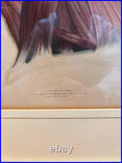 Estampe Gravure XIXème La Tête Glande Salivaire Anatomie William Bagg