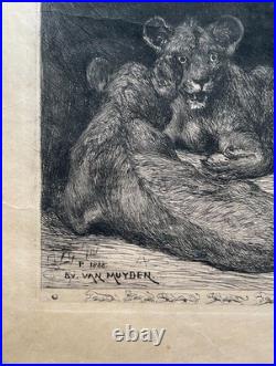Evert van Muyden, Lionne avec trois lionceaux, gravure signée et dédicacée