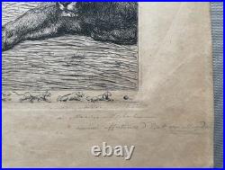Evert van Muyden, Lionne avec trois lionceaux, gravure signée et dédicacée