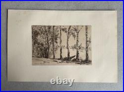 Félix Braquemond gravure etching Eau forte Paysage Les Trembles Peupliers Arbres