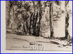 Félix Braquemond gravure etching Eau forte Paysage Les Trembles Peupliers Arbres
