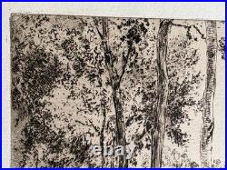 Félix Braquemond gravure etching Eau forte Paysage Les Trembles Peupliers Arbres