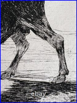 Francisco GOYA gravure Etching Aveugle Enlevé Sur Les Cornes D'un Taureau 1867