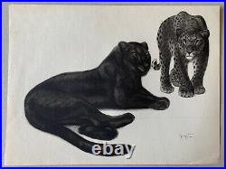 Georges Lucien GUYOT LITHOGRAPHIE Panthère Noire Panther Tigre Esprit Paul Jouve