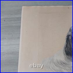 Grande Lithographie Danchin Hunting N°2 Chien Setter Perdrix 118/500