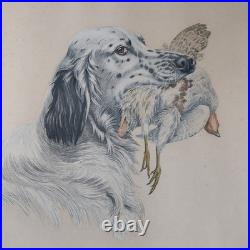Grande Lithographie Danchin Hunting N°2 Chien Setter Perdrix 118/500