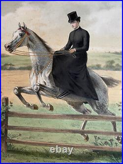 Grande estampe couleurs chasse XIXème Gustave David équitation vénerie française