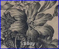 Gravure Botanique Xviiieme Dans Cadre Xxeme A4153