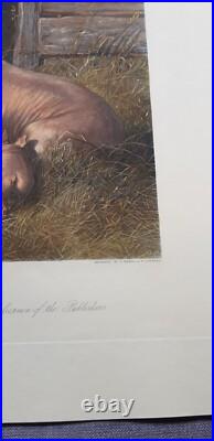 Gravure animalière originale sow and pigs