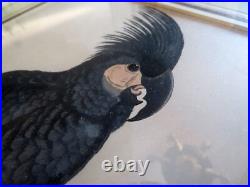 Gravures XIXe encadrées perroquets Parrots in Capitivity William Thomas