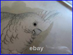 Gravures XIXe encadrées perroquets Parrots in Capitivity William Thomas