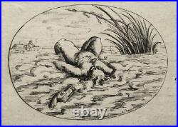 Gravures de Christoph JAMNITZER. Nürnberg Gravures de Christoph JAMNITZER. Nürnberg