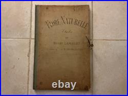Henry lambert flore naturelle, 40 planches lithographique, bel état