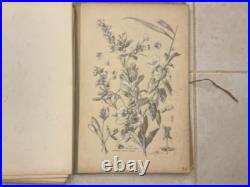 Henry lambert flore naturelle, 40 planches lithographique, bel état