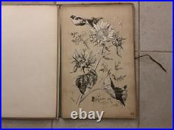 Henry lambert flore naturelle, 40 planches lithographique, bel état