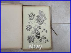 Henry lambert flore naturelle, 40 planches lithographique, bel état