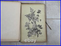 Henry lambert flore naturelle, 40 planches lithographique, bel état