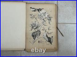 Henry lambert flore naturelle, 40 planches lithographique, bel état