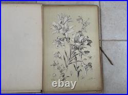 Henry lambert flore naturelle, 40 planches lithographique, bel état