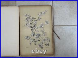 Henry lambert flore naturelle, 40 planches lithographique, bel état